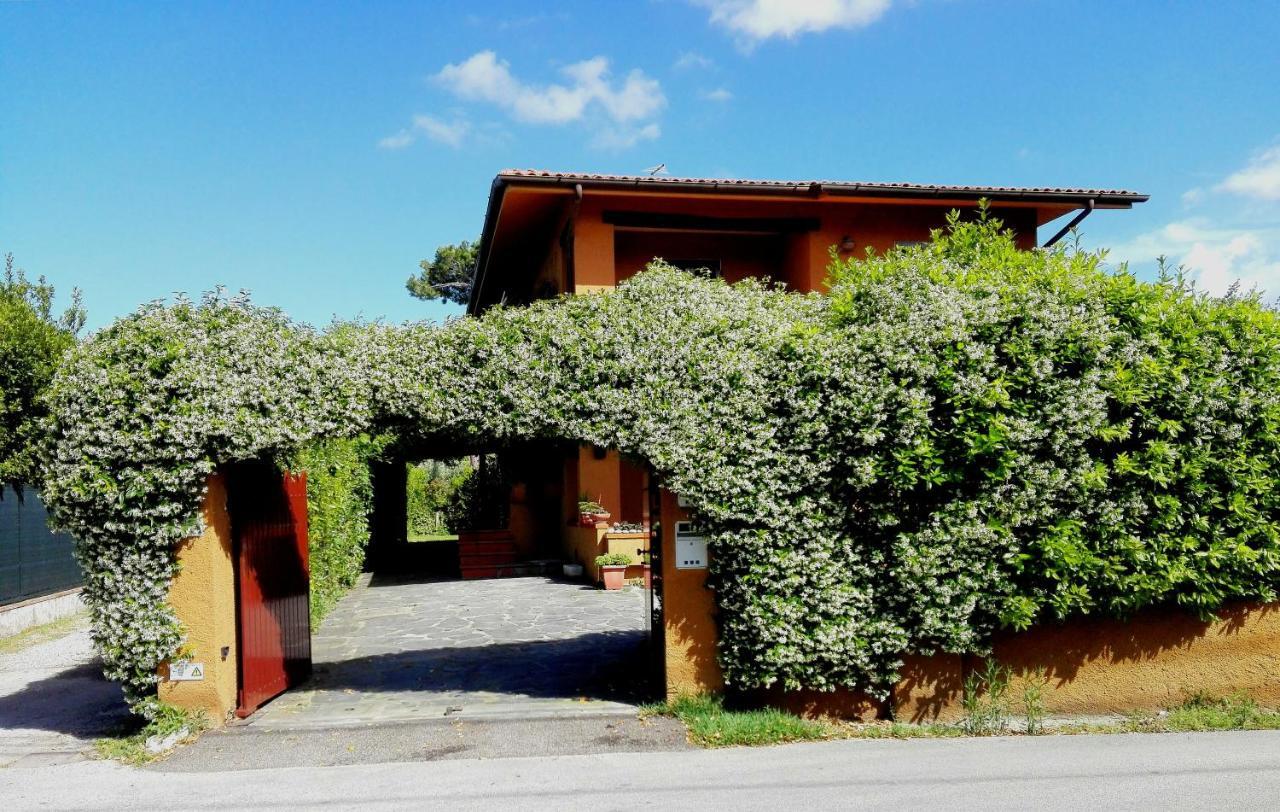 Il Gelsomino Villa ฟอร์เต เดย์ มาร์มี ภายนอก รูปภาพ